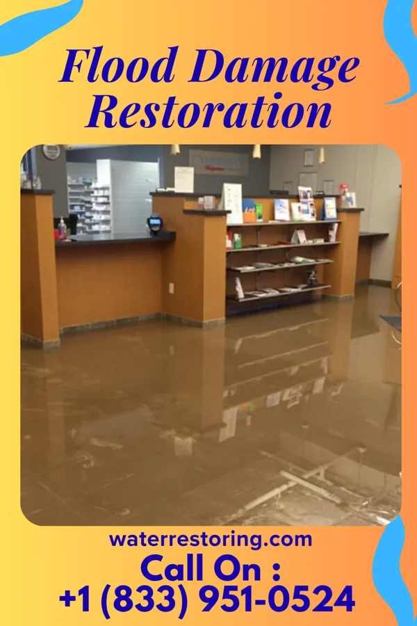 Flood Damage Restoration in Bishop Hill, IL