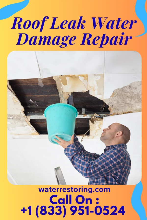 Roof Leak Water Damage Repair in Bishop Hill, IL