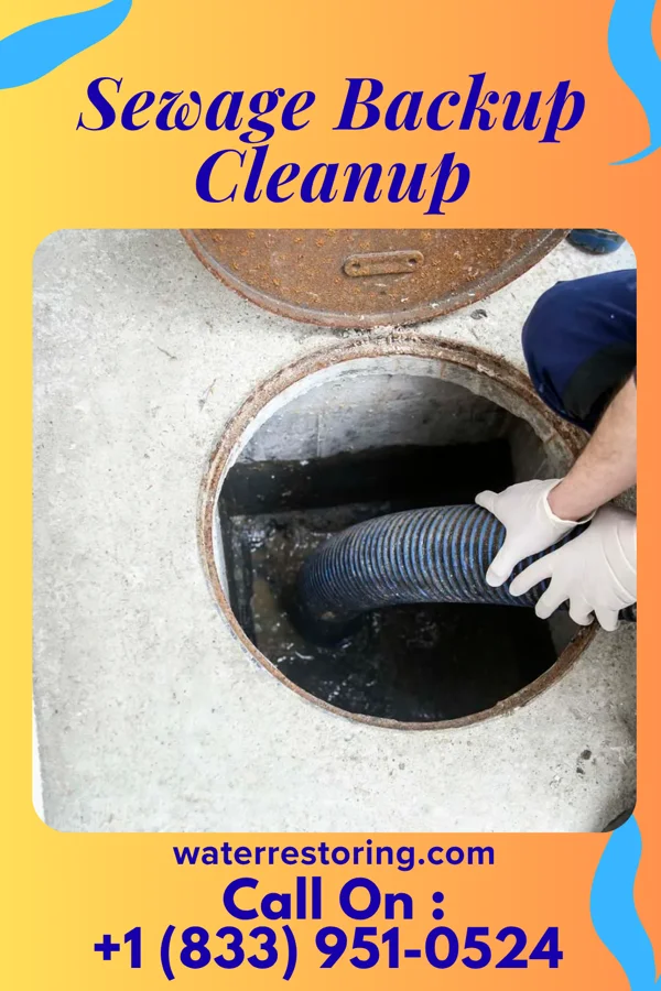 Sewage Backup Cleanup in Bishop Hill, IL