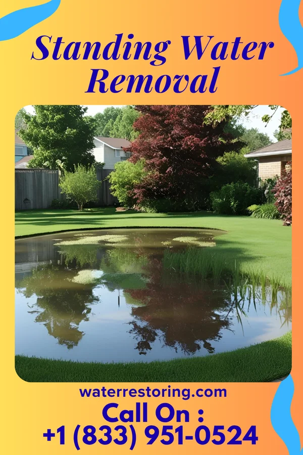 Standing Water Removal in Bishop Hill, IL